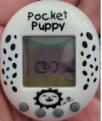 Pocket Puppy.JPG
